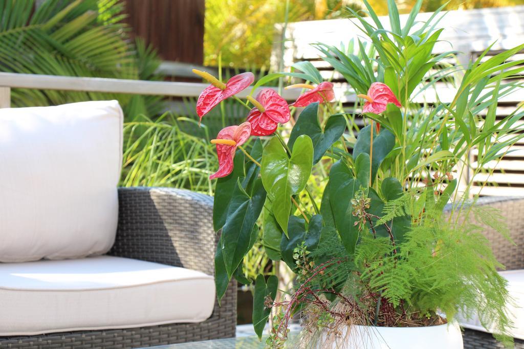 Margayillat Apartment Manapany-les Bains Ngoại thất bức ảnh